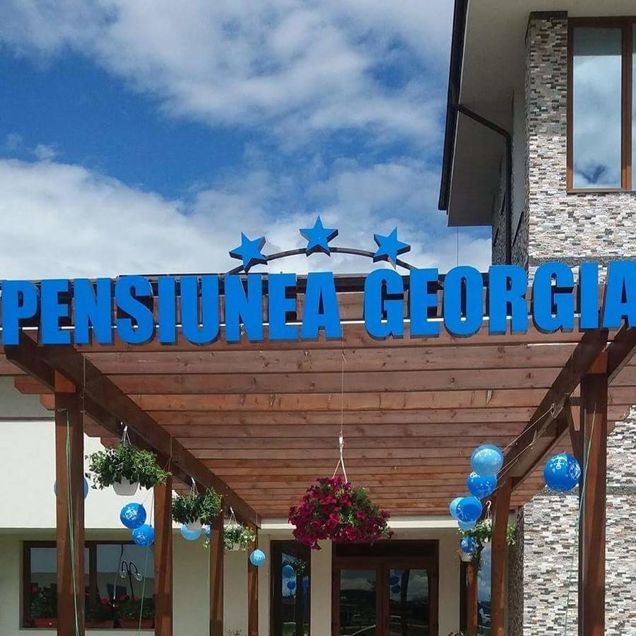 Lunguleţul Pensiunea Georgia المظهر الخارجي الصورة